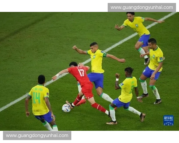 激情与争议交织的二零零二年世界杯历史回顾与深度解析全景展现